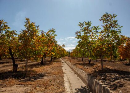 Terrenos en venta