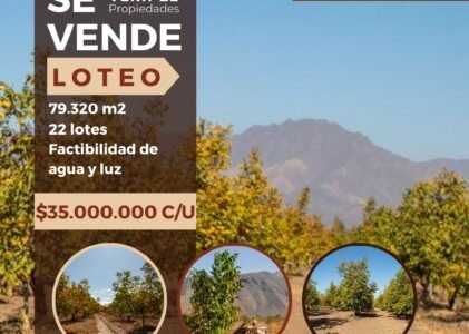 SE VENDE LOTEO en Quebrada de Herrera, Putaendo.