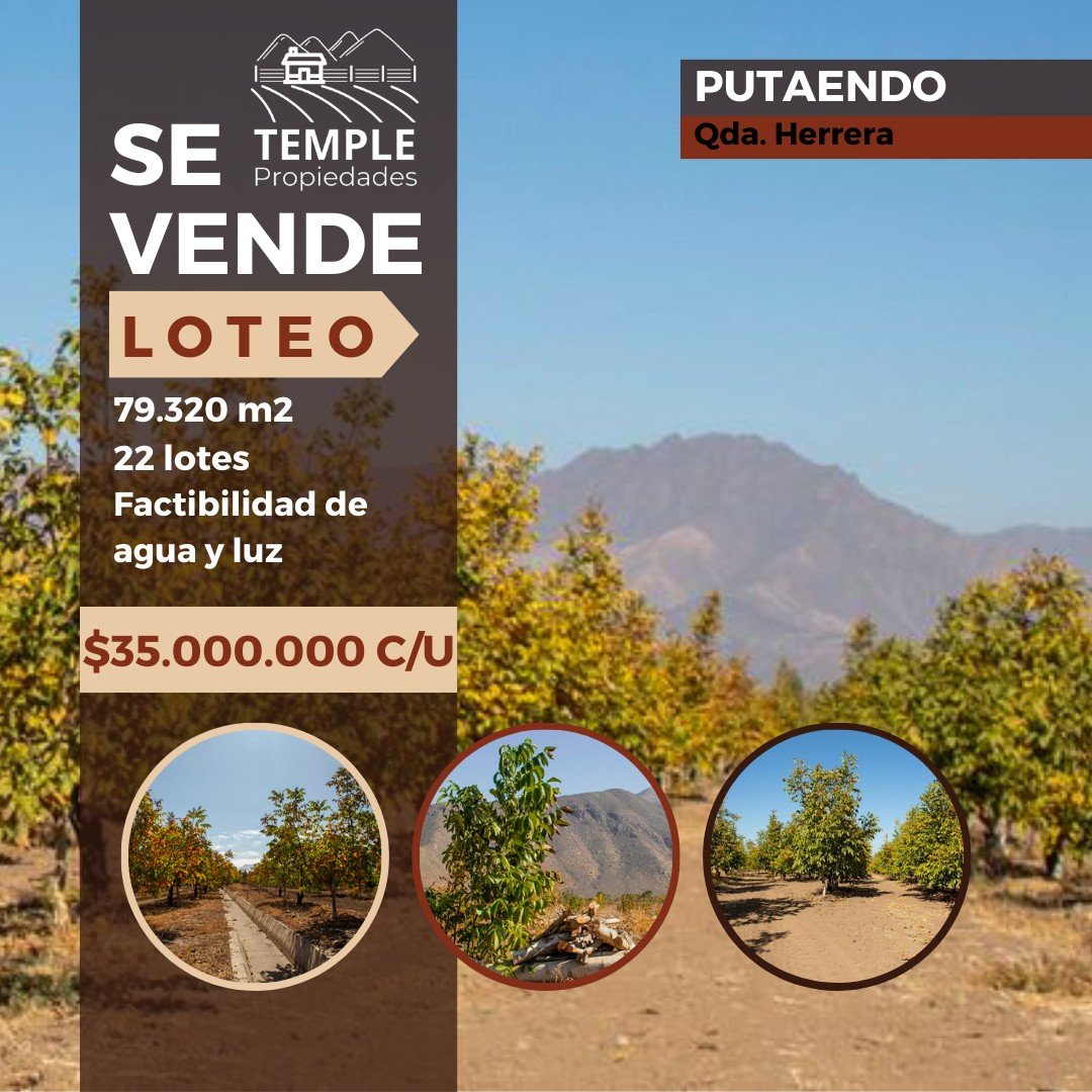 SE VENDE LOTEO en Quebrada de Herrera, Putaendo.